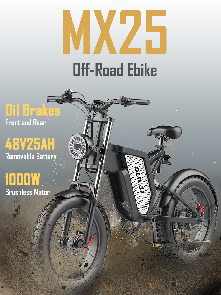 【Second Hand】GUNAI MX25 20-inch all-terrain electric mountain bike 1000W 48V 25AH