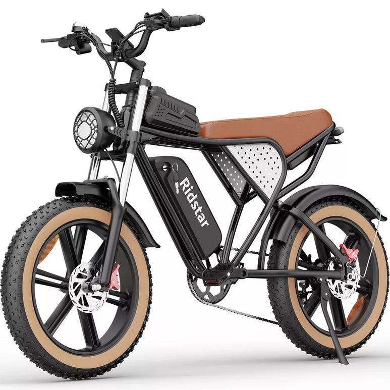 【Second Hand】Ridstar Q20 LUXE 1000W 48V 20Ah Battery 20''Fat Tire Mountain Electric Bike for Adult