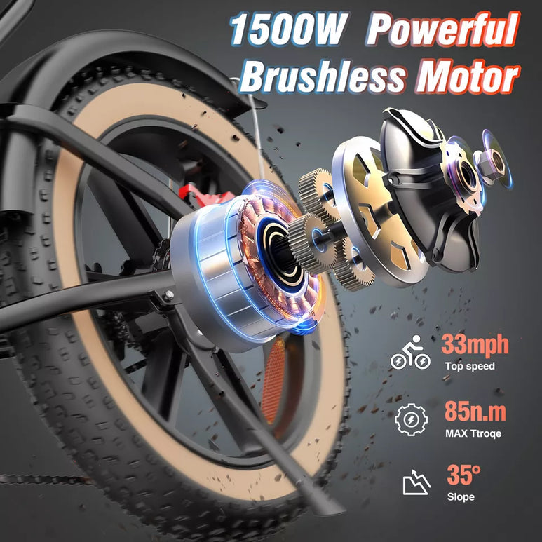 【Second Hand】Ridstar Q20 LUXE 1000W 48V 20Ah Battery 20''Fat Tire Mountain Electric Bike for Adult