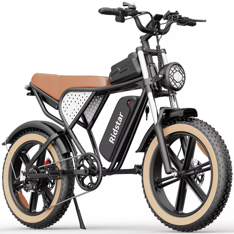 【Second Hand】Ridstar Q20 LUXE 1000W 48V 20Ah Battery 20''Fat Tire Mountain Electric Bike for Adult